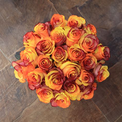 rosaholics|Orange and Brown Fresh Roses 